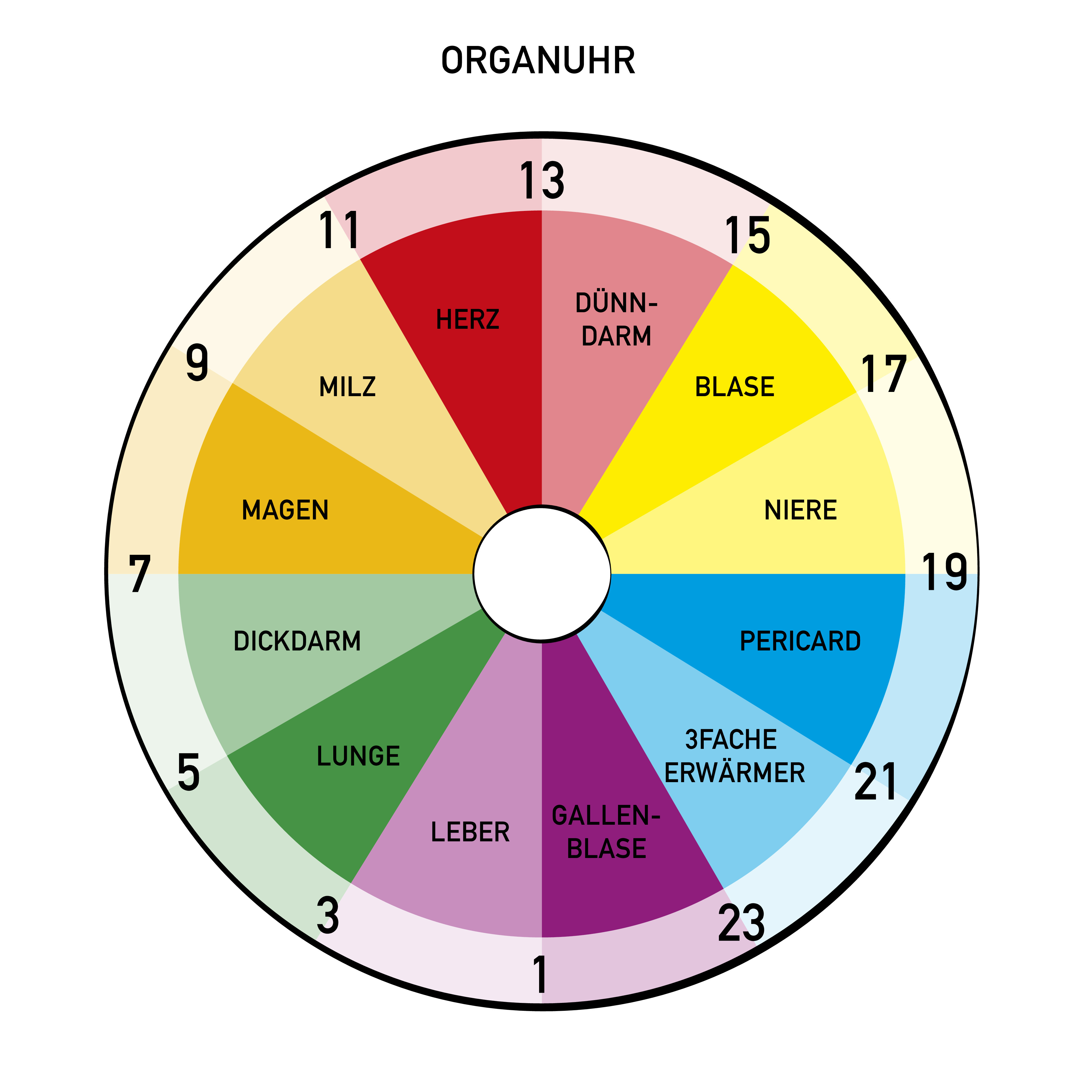 Adobe Stock 214741828