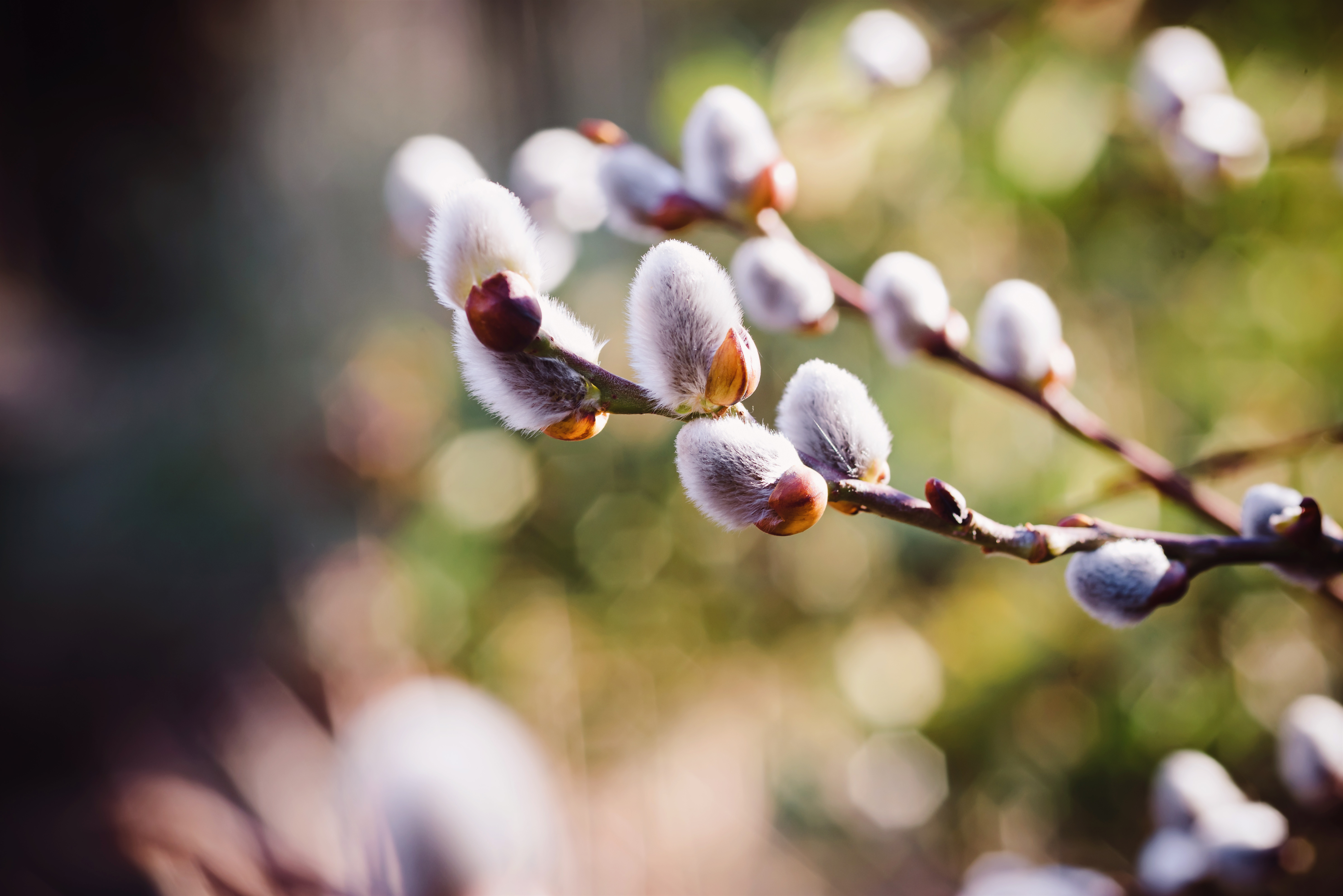 Adobe Stock 254544400