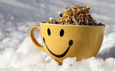 Winterblues240 F 49998856 p7 F Bu6 ZT Udfk W Wez1akfu P Qjm Ov Ys T4 X
